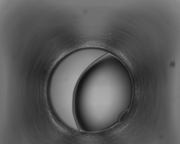 X0000090440530200707131032