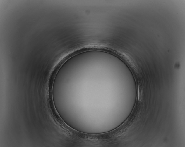 X0000090440531200707131032