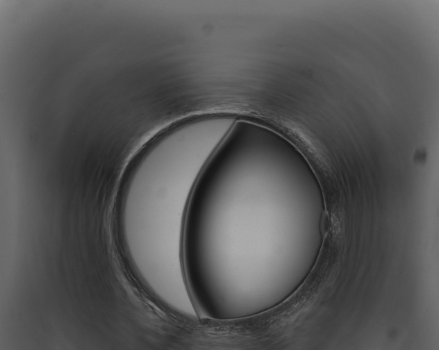 X0000090440532200707131032