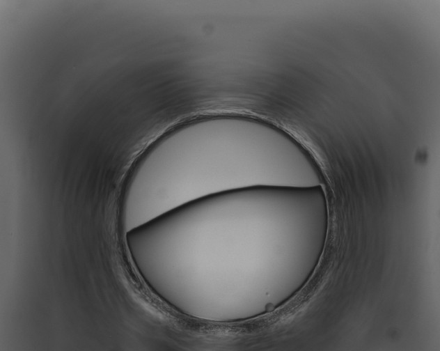 X0000090440533200707131032