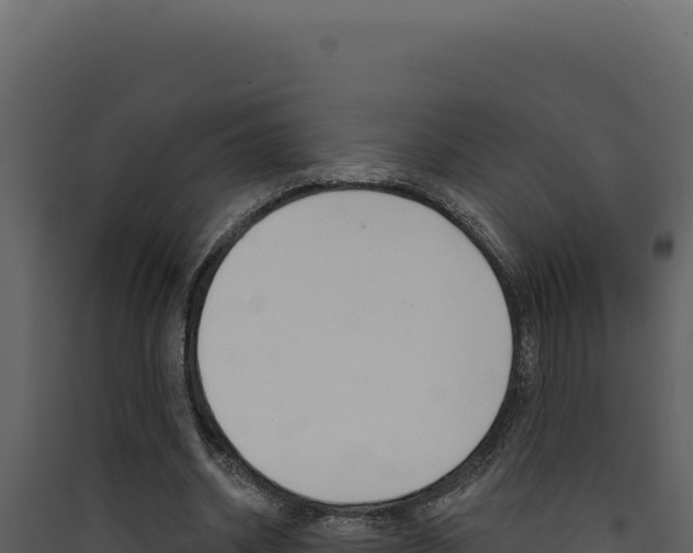 X0000090440534200707131032