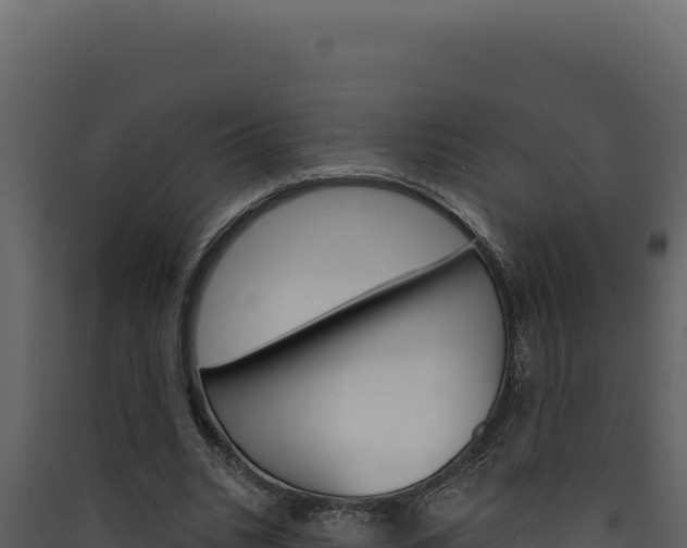 X0000090440535200707131032