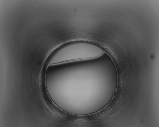 X0000090440536200707131032