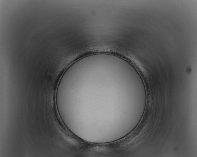 X0000090440537200707131032