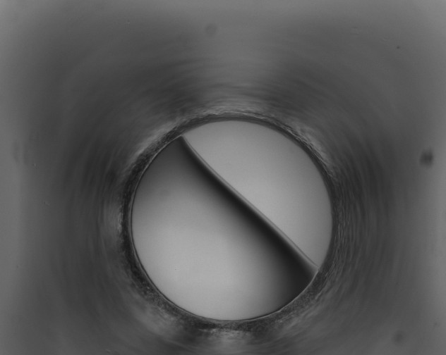 X0000090440539200707131032