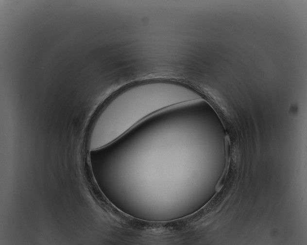 X0000090440540200707131032