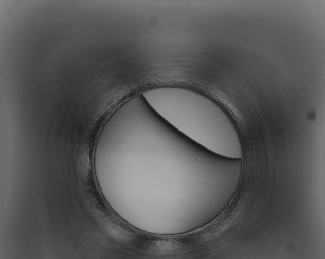 X0000090440541200707131032