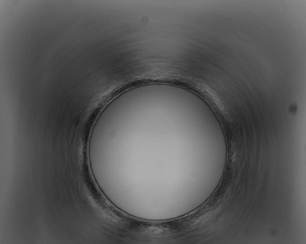 X0000090440542200707131032