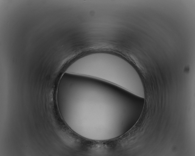 X0000090440543200707131032