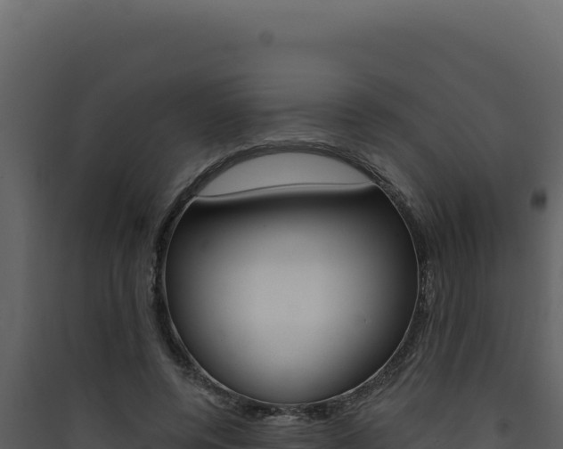 X0000090440544200707131032