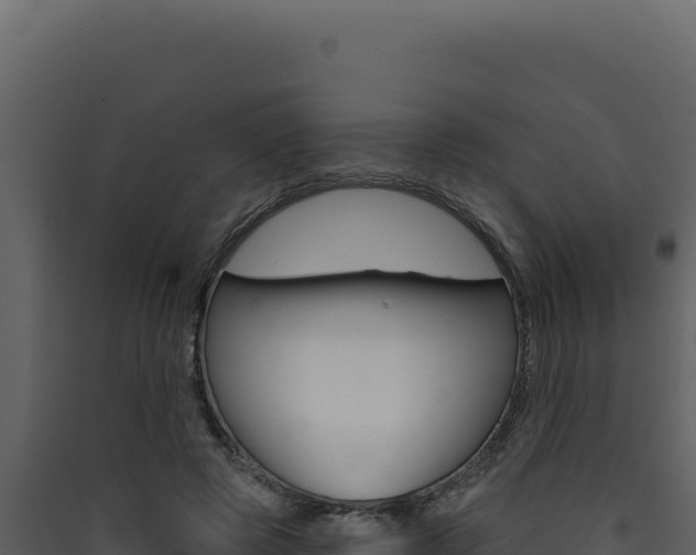 X0000090440545200707131032
