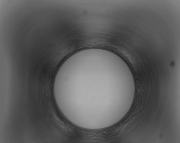 X0000090440546200707131032
