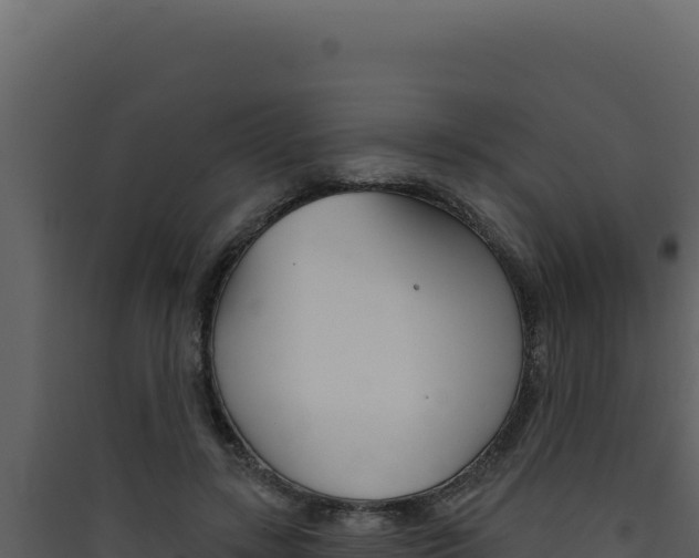 X0000090440547200707131032