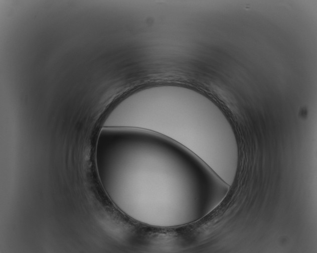 X0000090440548200707131032