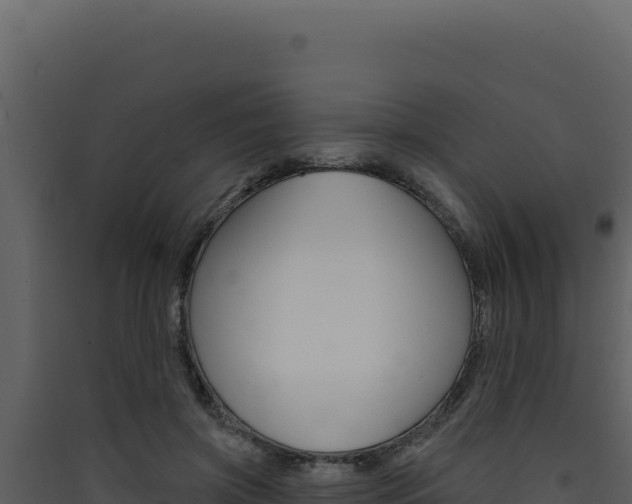 X0000090440549200707131032