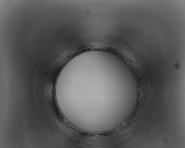 X0000090440550200707131032