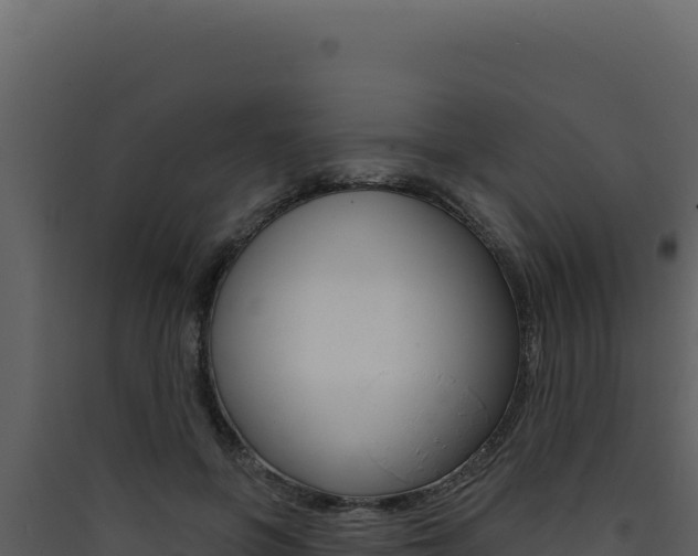 X0000090440551200707131032