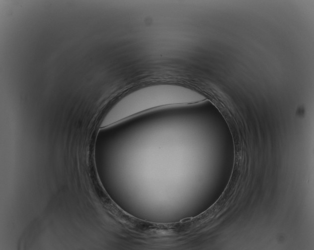 X0000090440552200707131032