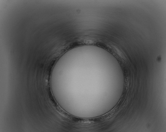 X0000090440553200707131032