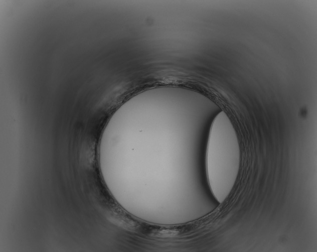 X0000090440554200707131032