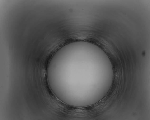 X0000090440555200707131032