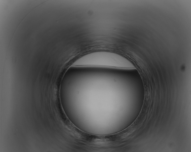 X0000090440556200707131032