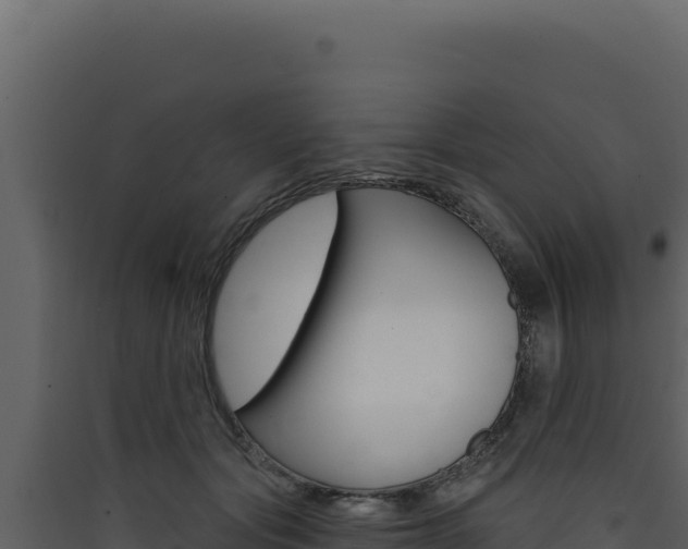 X0000090440557200707131032