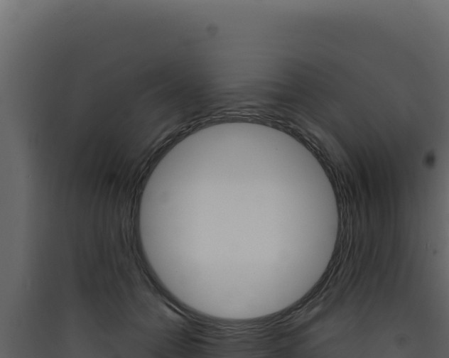 X0000090440558200707131032