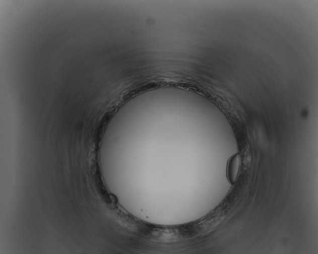 X0000090440559200707131032