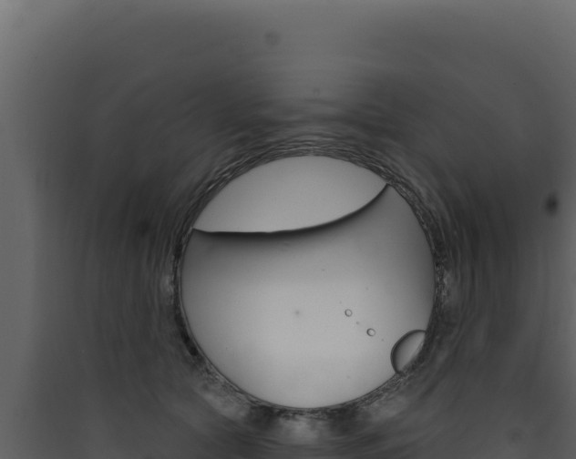 X0000090440561200707131032