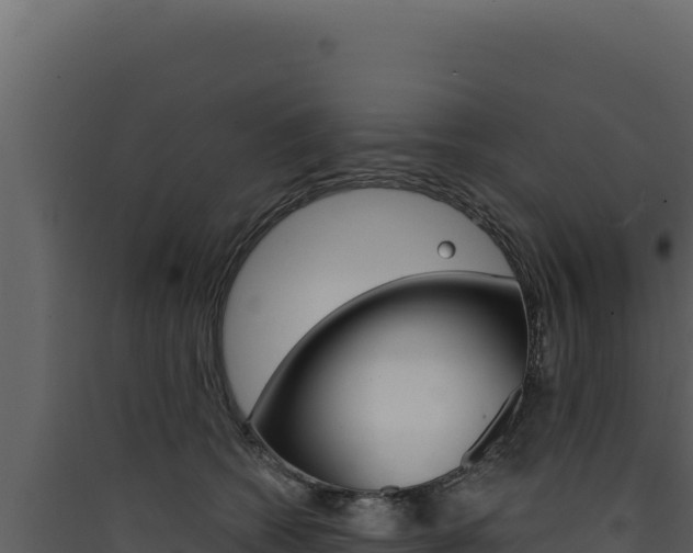 X0000090440562200707131032