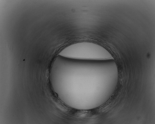 X0000090440563200707131032