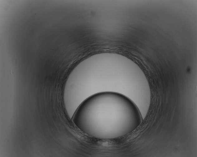 X0000090440564200707131032