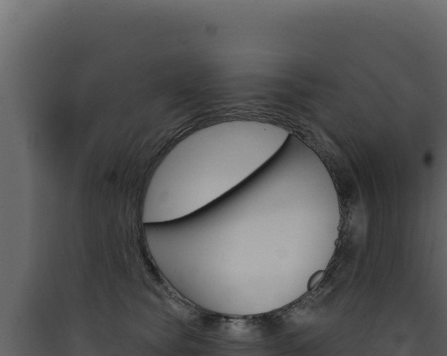 X0000090440565200707131032