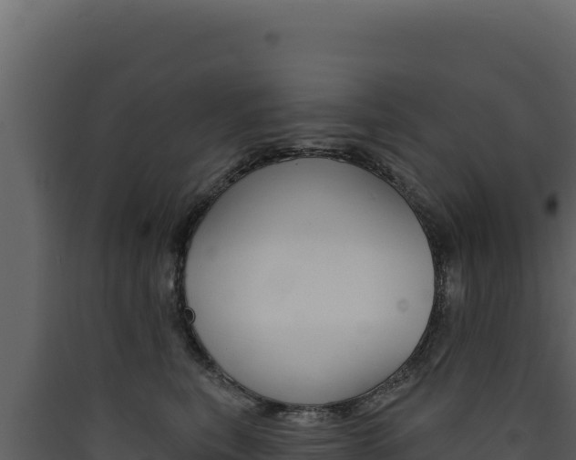 X0000090440567200707131032