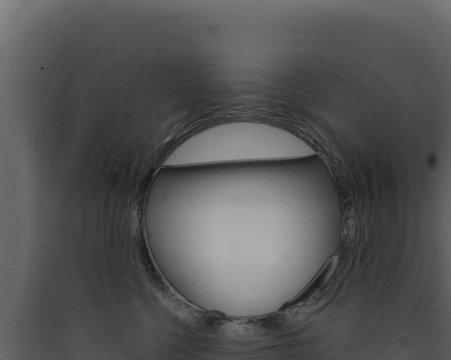 X0000090440568200707131032