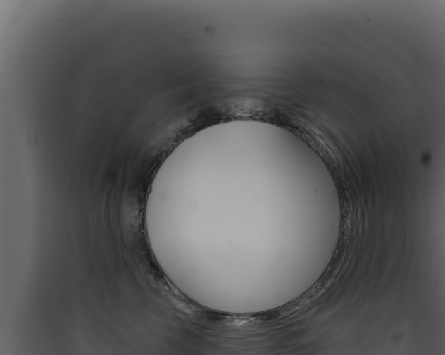 X0000090440569200707131032