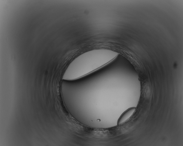 X0000090440571200707131033