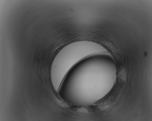 X0000090440572200707131033