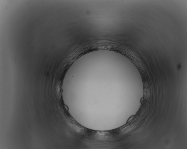 X0000090440573200707131033