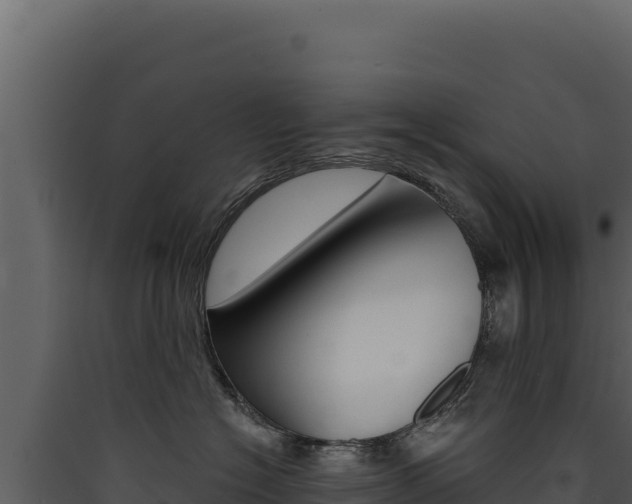 X0000090440574200707131033