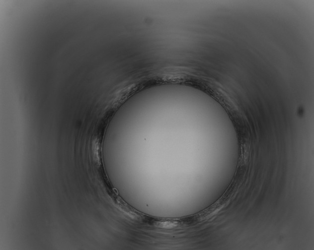 X0000090440575200707131033