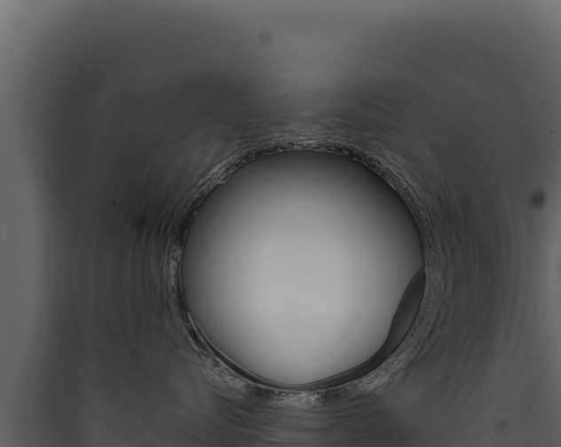 X0000090440576200707131033