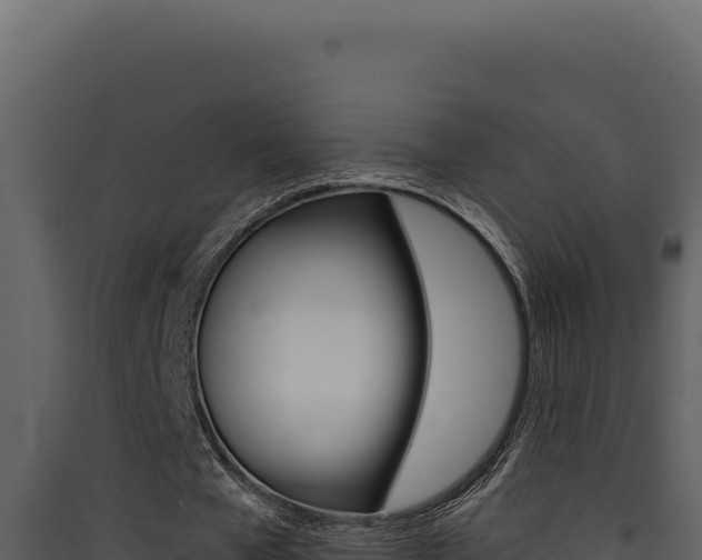 X0000090440577200707131032