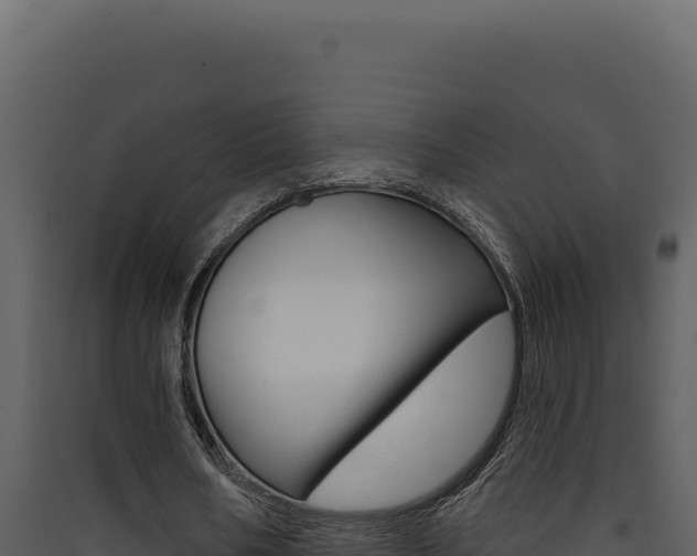 X0000090440578200707131032