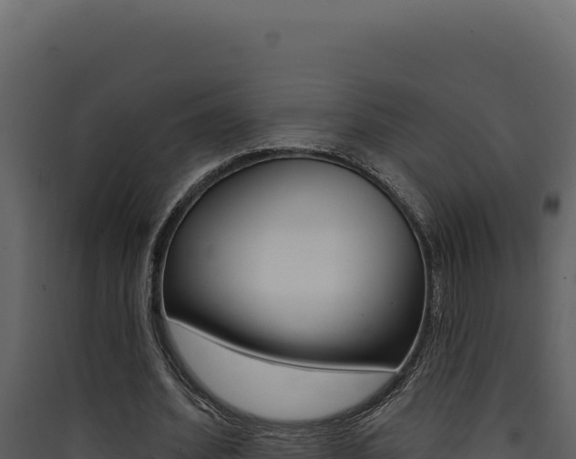 X0000090440580200707131032