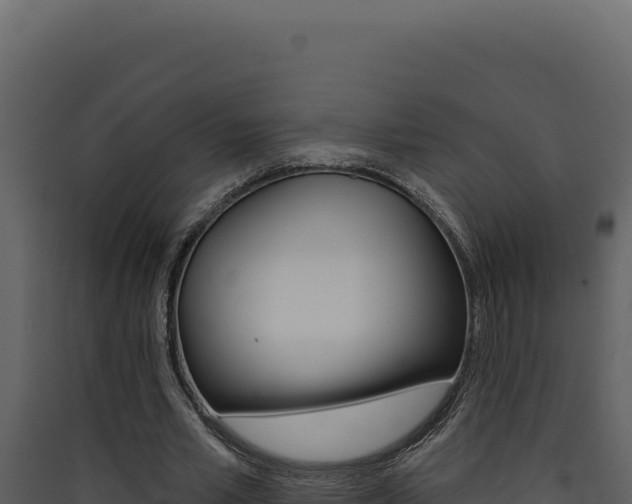 X0000090440581200707131032