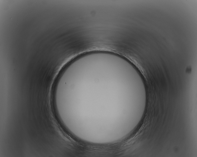 X0000090440584200707131032