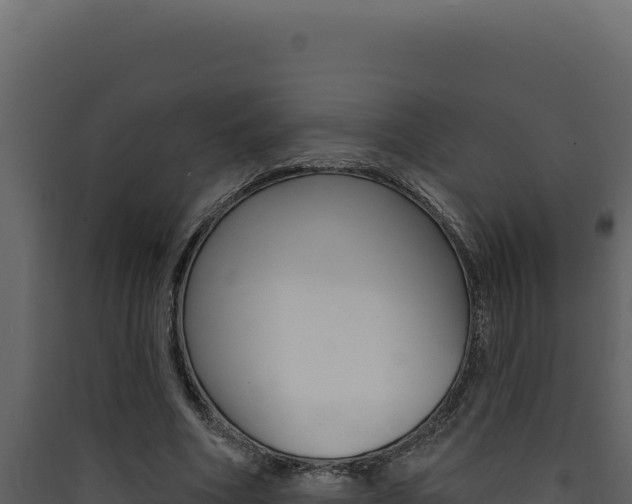 X0000090440586200707131032