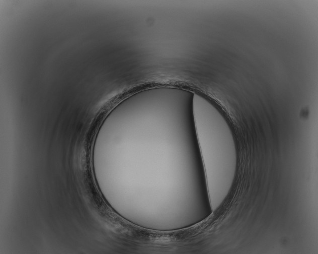 X0000090440587200707131032